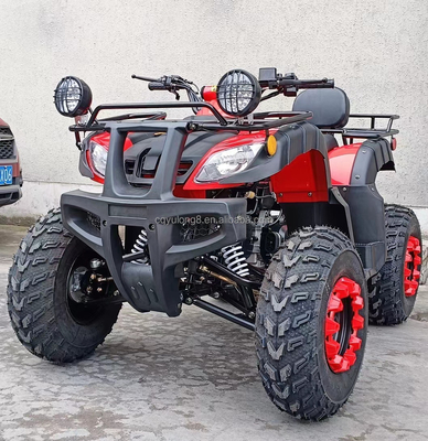 Ηλεκτρική Start 250cc Quad Bike με 500W κινητήρα και σχεδιασμό ολικής επιφάνειας με άξονα