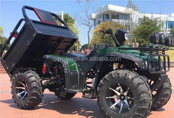 250cc αγροτικό τετρακίνητο με αυτόματο κιβώτιο και μπαταρία 60V