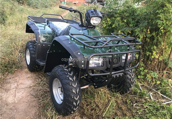 4x4 Buggy Motor ATV UTV 200cc για ενήλικες Τύπος αυτόματου κιβωτίου ταχυτήτων Μέγιστη ταχύτητα 80km/h