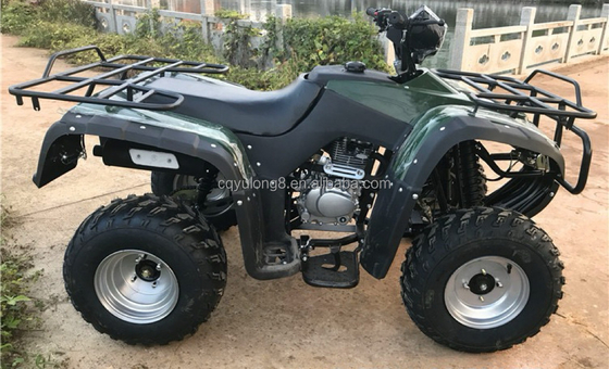 4x4 Buggy Motor ATV UTV 200cc για ενήλικες Τύπος αυτόματου κιβωτίου ταχυτήτων Μέγιστη ταχύτητα 80km/h