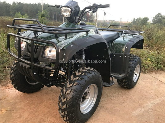 4x4 Buggy Motor ATV UTV 200cc για ενήλικες Τύπος αυτόματου κιβωτίου ταχυτήτων Μέγιστη ταχύτητα 80km/h