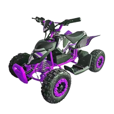 Ανακαλύψτε το συναρπαστικό Mini Quad Buggy ATV 500W Electric ATV για παιδιά και ενήλικες