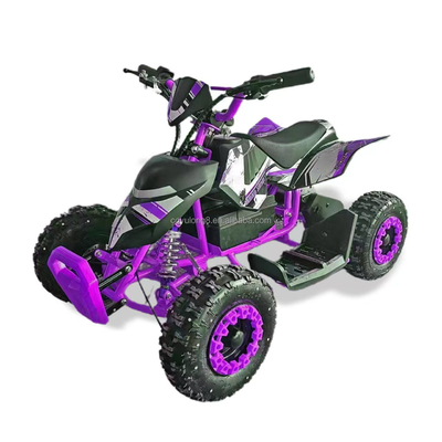 Μέγιστη ταχύτητα 50 χλμ/ώρα Ηλεκτρικό ATV 36V 500W 800W Buggy Quad ATV για παιδιά