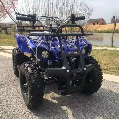 Πωλήσεις 49cc 125cc 200cc ATV 4x4 All Terrain Οχήματα Quad Bike Μεταξοστάσιο 1000-1400mm