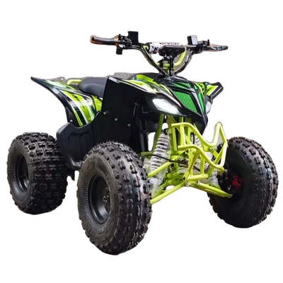 Ζεστό 750w 1000w Ηλεκτρικό Moto Buggy αυτοκίνητο για παιδιά και ενήλικες 60v 4x4 Quad Side by Sides