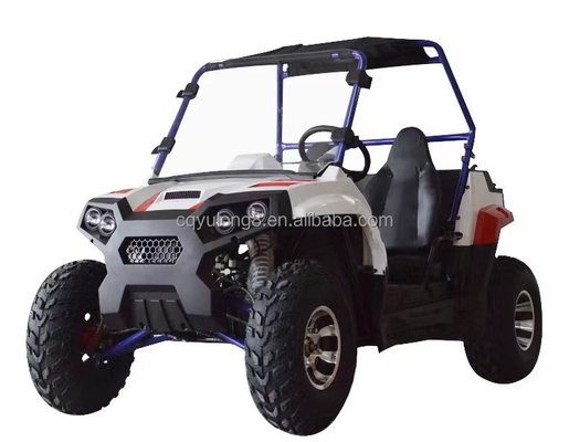 1 κύλινδρο 1500W 2000W Side by Side Farm Ηλεκτρικό UTV με 2 καθίσματα και διαφορική κλειδαριά