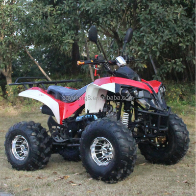 Προσαρμόσιμο 125cc ενήλικας οχήμα εκτός δρόμου με φυσικό κινητήρα με ψύξη αέρα