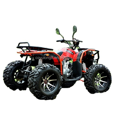 Προσαρμόστε την βόλτα σας Μεγάλος Ταύρος 300cc 4 * 4 ενήλικες Off-Road ATV με 300mm χώρο ελεύθερο